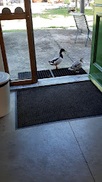 Photo n°22 de Domaine de Mounoy à Ramouzens (Terrain de camping)