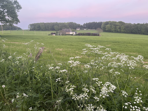 Parkplatz an der Kohlenbahn (Glückauftrasse)