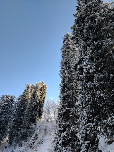 Photos of Parkovka Bliz Sanatoriya "Prosveshchenets"
