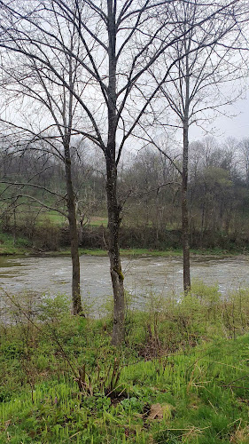 Pole namiotowe nad Sanem