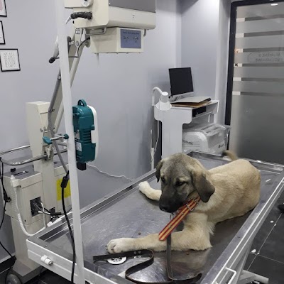 Bozok Yaşam Veteriner Kliniği