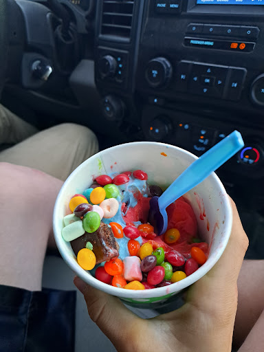 Gooseberry Frozen Yogurt - Thumbnail