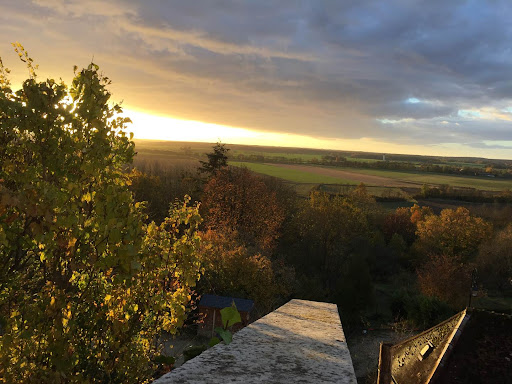 Photo de L'Aquarelle en Champagne, Chambres d'Hôtes à Ervy-le-Châtel (10130)