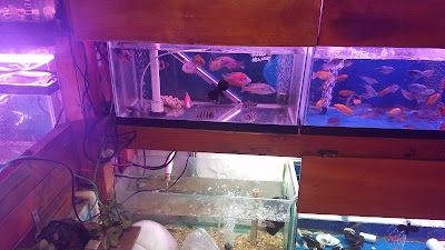 New Lucky Fish Aquarium & Pet Supply