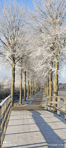 De Akker - Visual