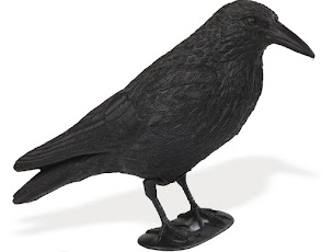 Photo n°4 de Côté Chasse à Herzeele (Magasin d'articles de loisirs)