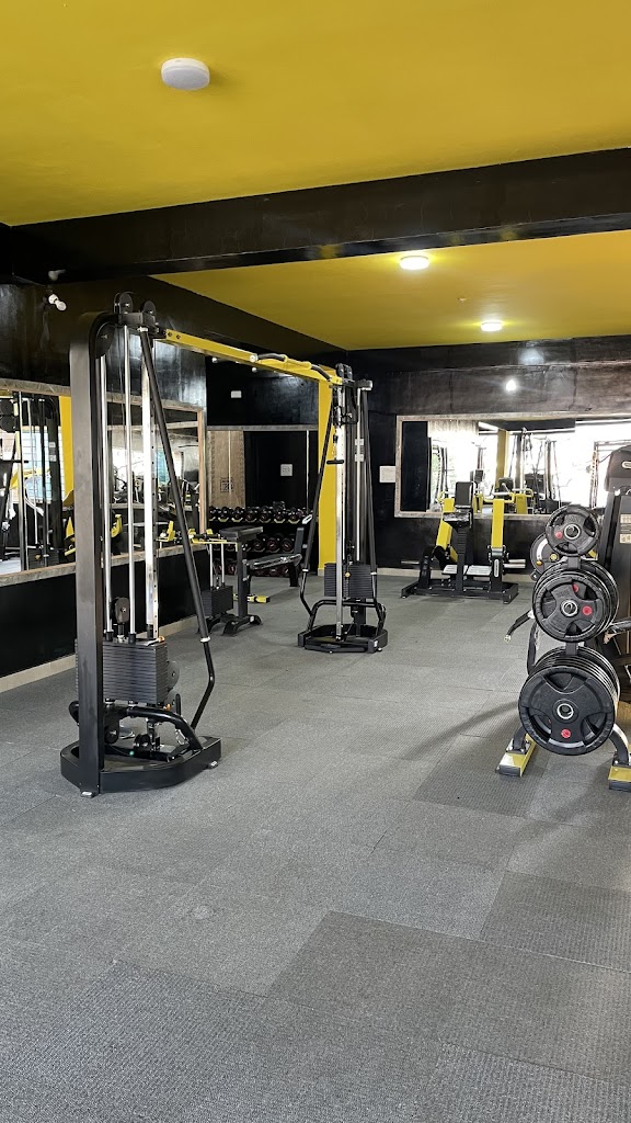 Muscle Fusion Group S