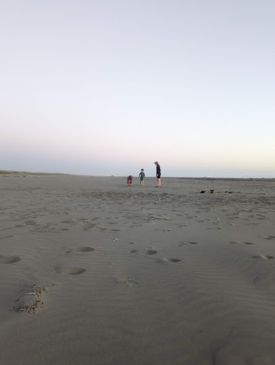 Grayland Beach - Visual