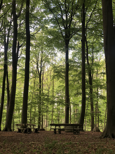 RuheForst Damp/Thiergarten an der Ostsee Gallery - Germany