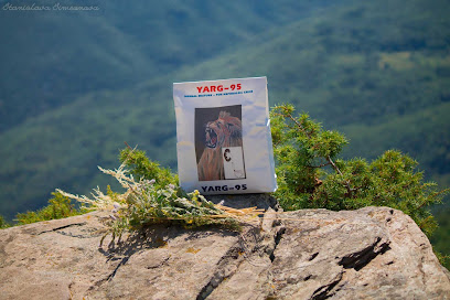 Ярг-95 Билков продукт за бъбречно здраве