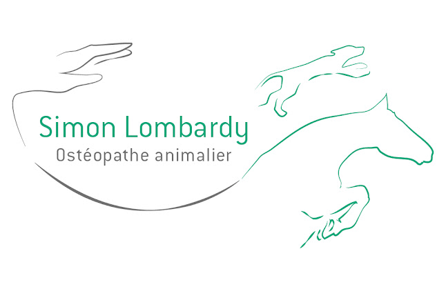 Commentaires et avis sur Simon LOMBARDY Ostéopathe Animalier Toulouse - Inscrit au Registre de l'Ordre National des Vétérinaires - Ostéopathe équin