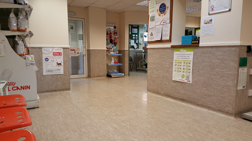 Medivet Reading - Visual