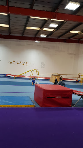 Goldstar Active - Visual