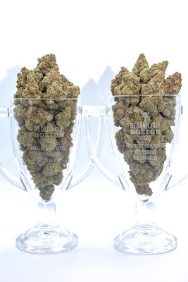 Photo of Resinate Worcester Cannabis Dispensary