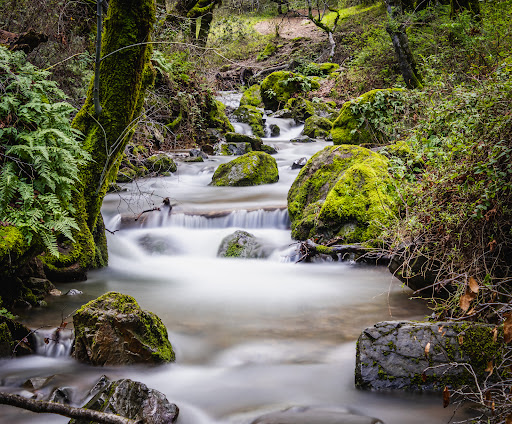 Buck Gulch Falls Gallery - United States