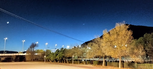 Canino Elda Park - Thumbnail