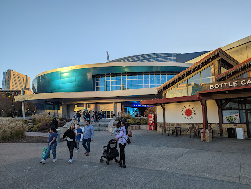 Georgia Aquarium Gift Shop
