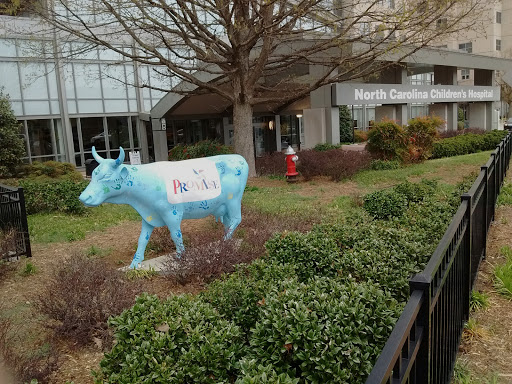 UNC Hospitals Children's Specialty Clinic Gallery - United States