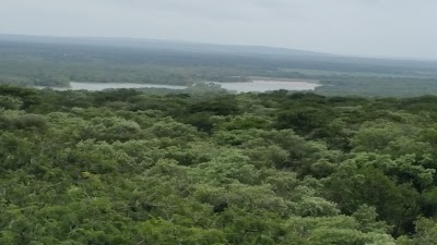 park