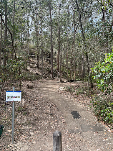 Springwood Stairs - Thumbnail