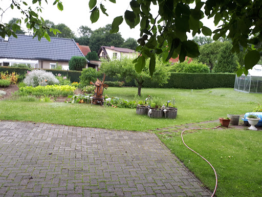 Elke Ewert