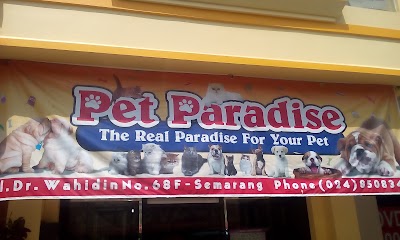 Photos of Pet Paradise