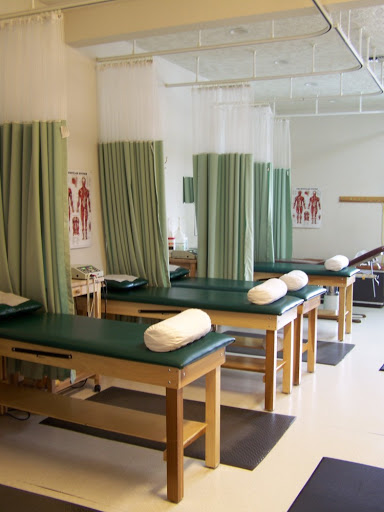 Pine Tree Chiropractic - Visual