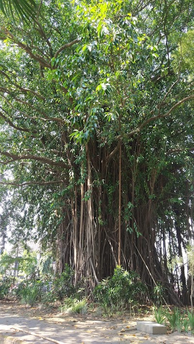 Photos of Surakarta Town Hall