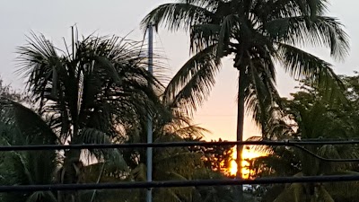 Photos of Sun Deck Inn & Suites