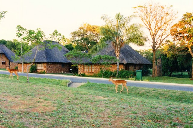 Kruger National Park