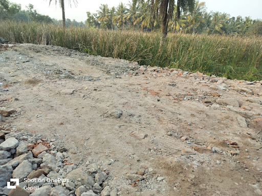 Gallery image 11