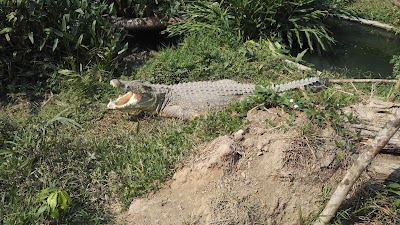 Photos of de kisantu Botanical Garden