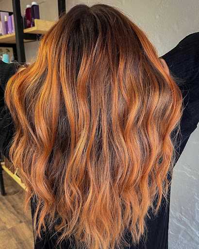 Ginger Suite - Visual