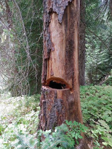 Salmon Cove Group Site Gallery - United States