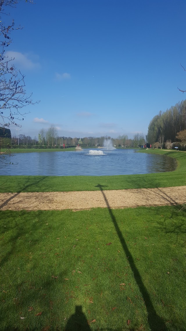 Chelsea FC Cobham Training Ground