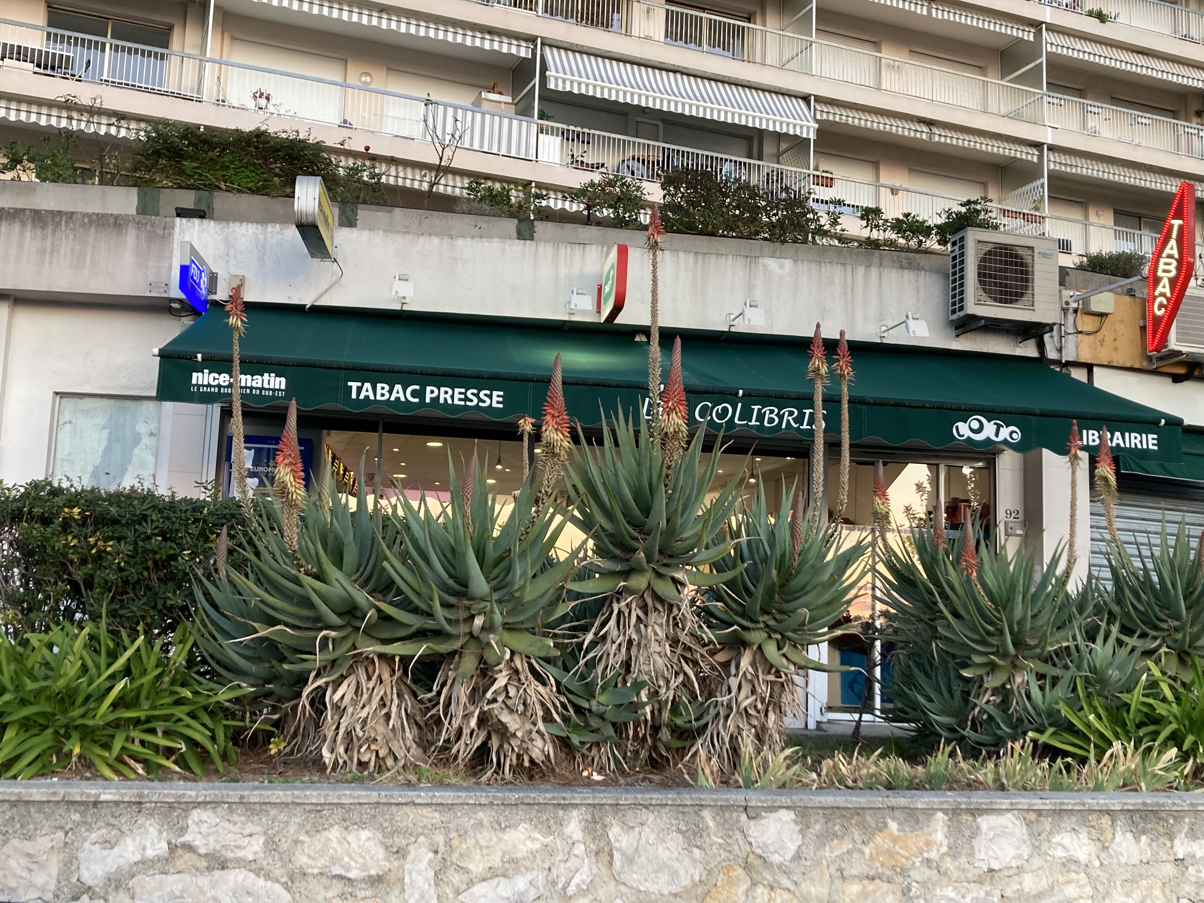 elfbar nachfüll pod läuft aus Tabac Vape shop Presse Librairie Les Colibris à Nice