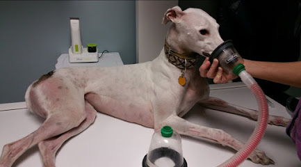 Family Pets Veterinary Care and Acupuncture