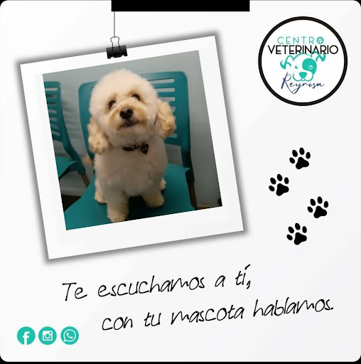 Centro Veterinario Reynosa