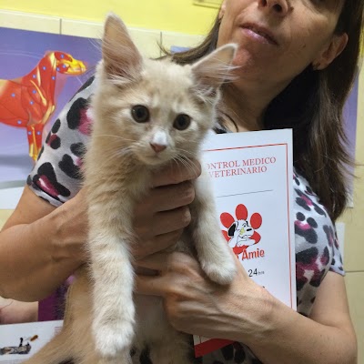 Photos of Bon Amie Veterinary Clinic