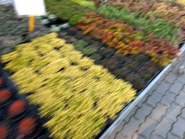 Telefonszám: New Garden Kertészet Buda