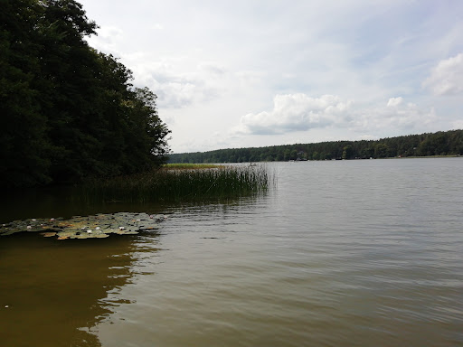 Pelzkuhl
