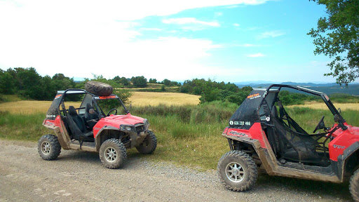 Buggyexperience - Visual