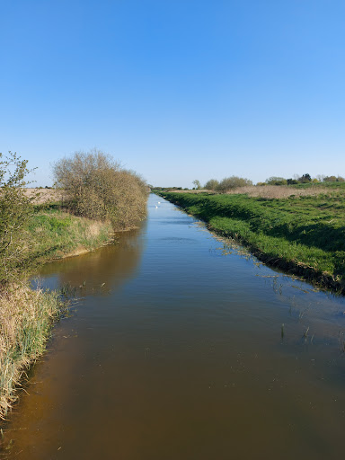 Fiskerton Fen Nature Reserve - Thumbnail