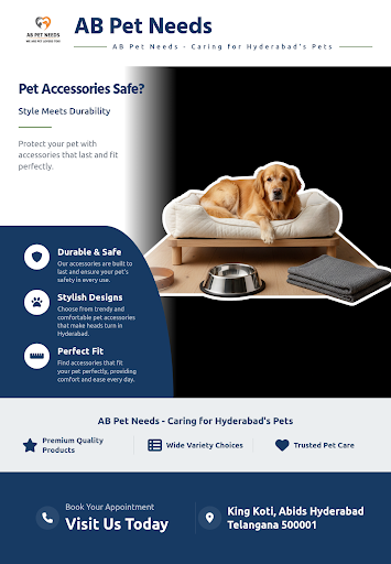 Pet Accessories post image