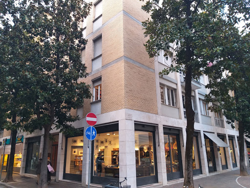 Gaiofatto Elena