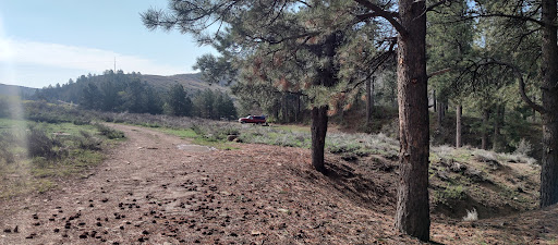 Turkey Springs Dispersed Camping - Thumbnail