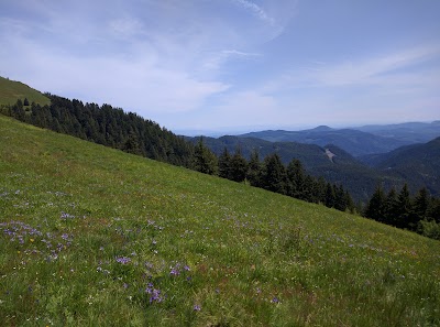 Marys Peak Botanical Special Interest Area