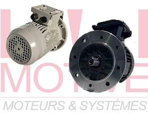 Photo n°4 de MOTIVE Moteurs et Systèmes à Grand-Fougeray (Magasin de moteurs électriques)