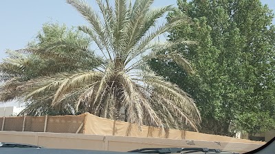 Photos of Mosque