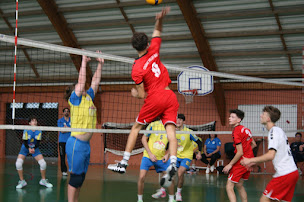 Photo n°1 de Cognac Volley-ball à Cognac (Club de sport)